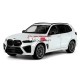 Метална кола BMW X5, Мащаб 1:18