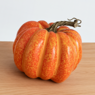 Изкуствена тиква