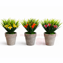 Цвете в саксийка