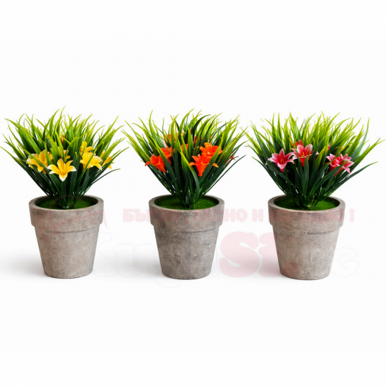 Цвете в саксийка