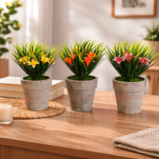 Цвете в саксийка