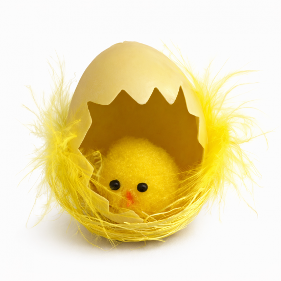 Декоративно пиленце в черупка