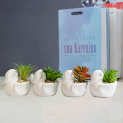 Цвете в керамична саксия лебед