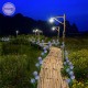 Соларна градинска лампа Глухарче