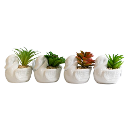 Цвете в керамична саксия лебед