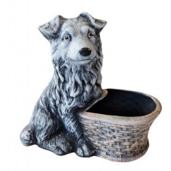 Саксия с куче