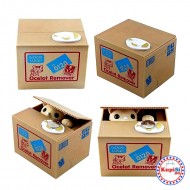 Касичка коте