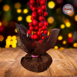 Саксия с червени Коледни боровинки