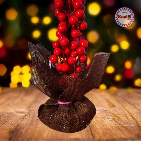 Саксия с червени Коледни боровинки