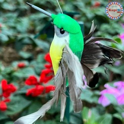 Соларно колибри 