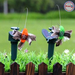 Соларно колибри 