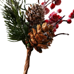 Коледна клонка