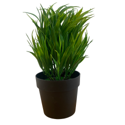 Цвете в саксия - зелено