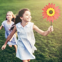 Вятърна въртележка слънчоглед