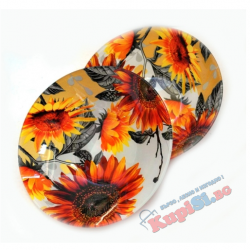 Купа Слънчоглед