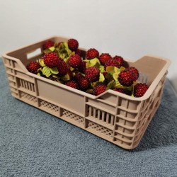 Мини пластмасова щайга