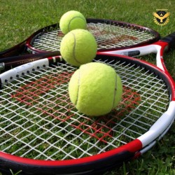 Топка за тенис на корт