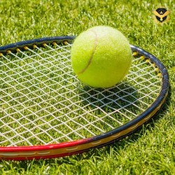 Топка за тенис на корт