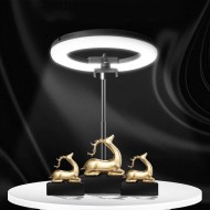 LED Ринг лампа за снимки 170 см