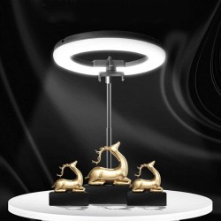 LED Ринг лампа за снимки 170 см