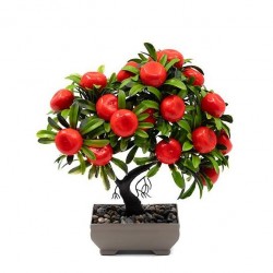 Декоративно дърво в кашпа - мандарина