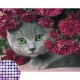 Диамантен гоблен - Коте Диамантен гоблен - Коте