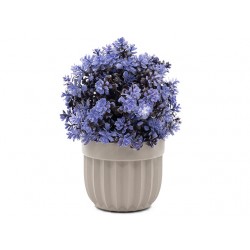 Декоративна саксия с цвете ЛАВАНДУЛА