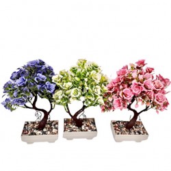 Цвете-бонзай