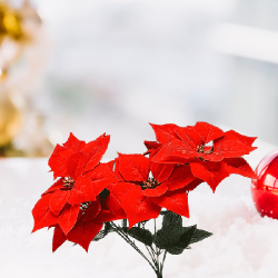 Изкуствен букет Коледна Звезда