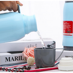 ТЕРМОС С ЧАША 450 МЛ.и 750 мл