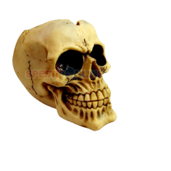 ПЕПЕЛНИК ЧЕРЕП