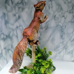 Катерица бягаща