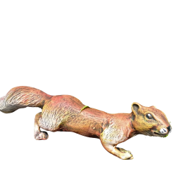 Катерица бягаща