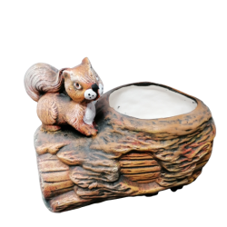 Керамична саксия пънче с катеричка