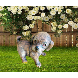 КЕРАМИЧНО  КУЧЕ