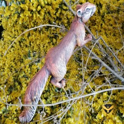 Катерица бягаща