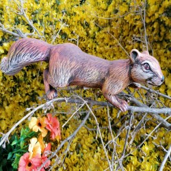 Катерица бягаща