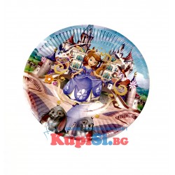 Детски парти чинийки 10 броя  Принцеси