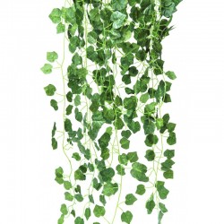 Лиана малки листа