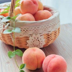 Изкуствени плодове праскови