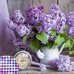 Диамантен гоблен, Люляк