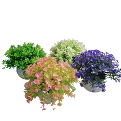 Цвете в саксия различни цветове