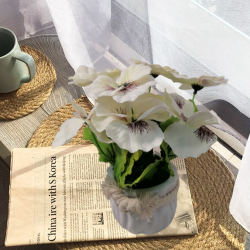 Керамична саксия ТЕМЕНУЖКА бяла