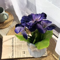 Керамична саксия ТЕМЕНУЖКА лилава