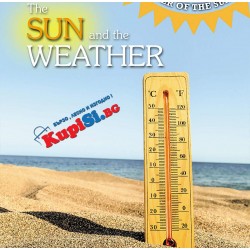 Дървен Стаен Термометър "WOOD"