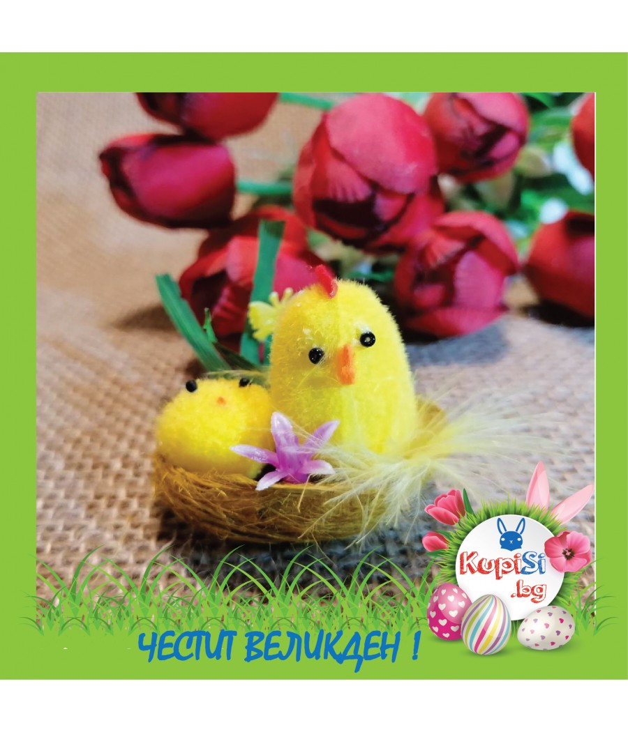 KUPISI.BG - БЪРЗО,ЛЕСНО И ИЗГОДНО (0893 24 55 75)