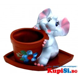 САКСИЯ СЪС СЛОНЧЕ