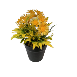 Цвете в саксийка