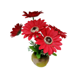 Цвете в саксия -ГЕРБЕР