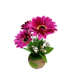 Цвете в саксия -ГЕРБЕР